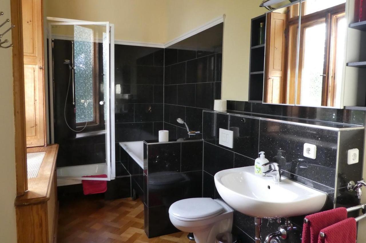 Ferienwohnung Villa Haniel Edmund เดรสเดน ภายนอก รูปภาพ